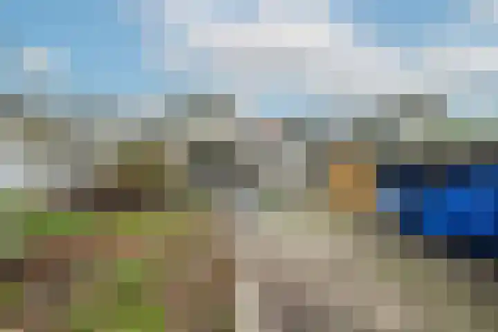 Tuinstraat 24 Dirksland thumbnail 26