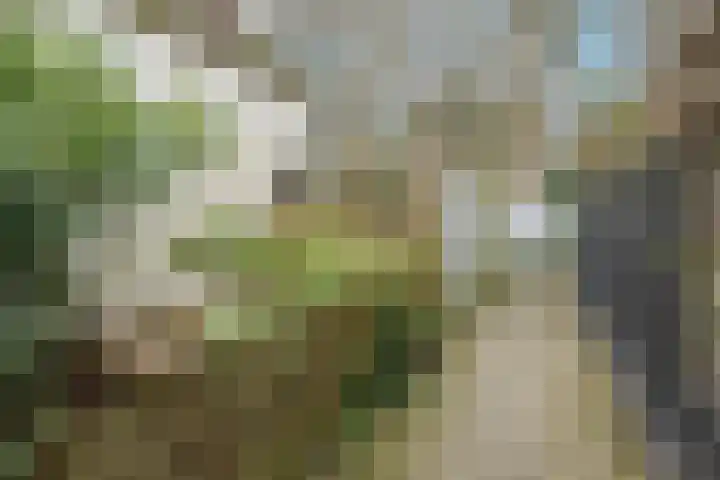 Tuinstraat 24 Dirksland thumbnail 27