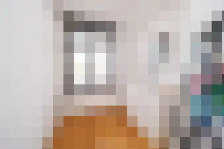 Tuinstraat 24 Dirksland thumbnail 29