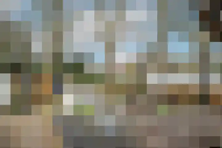 Tuinstraat 24 Dirksland foto 3