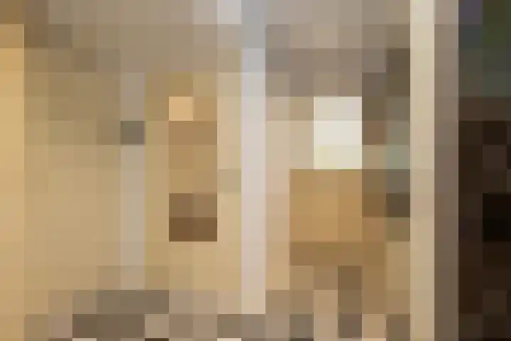 Tuinstraat 24 Dirksland thumbnail 4