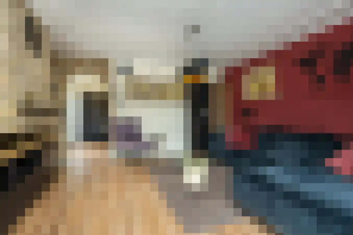 Tuinstraat 24 Dirksland thumbnail 5