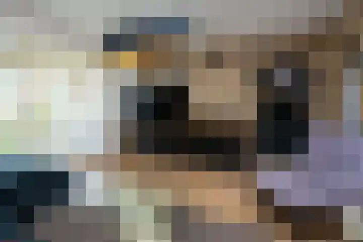 Tuinstraat 24 Dirksland thumbnail 6