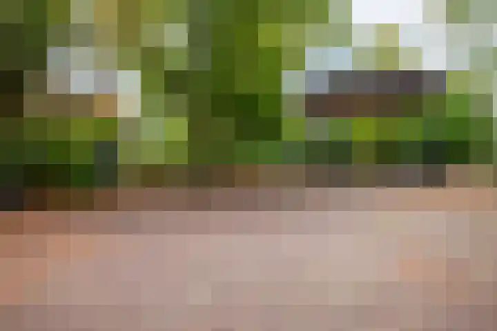 Tuinstraat 24 Gouda thumbnail 38