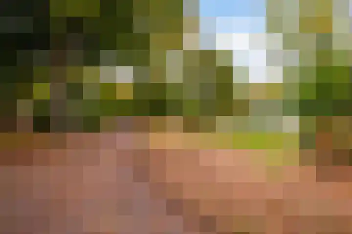 Tuinstraat 24 Gouda thumbnail 5