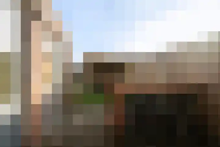 Tuinstraat 24 Sint-Annaland thumbnail 28