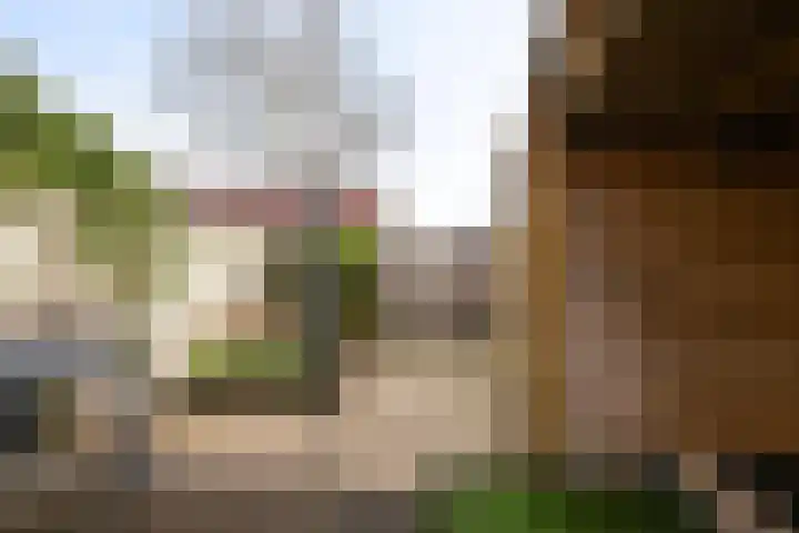 Tuinstraat 24 Sint-Annaland thumbnail 30