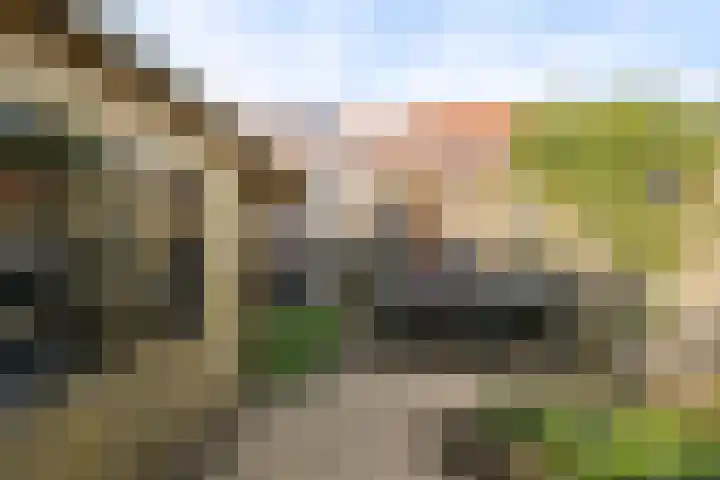 Tuinstraat 24 Sint-Annaland thumbnail 31