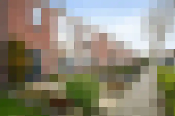 Tuinstraat 24 Sint-Annaland thumbnail 6