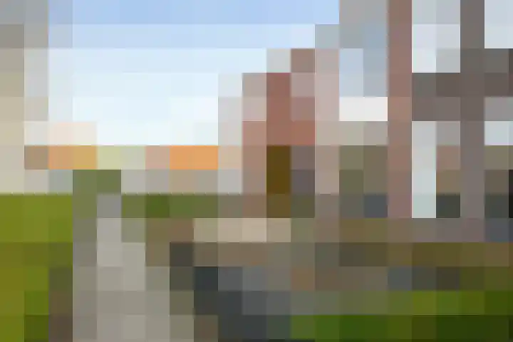 Tuinstraat 24 Sint-Annaland thumbnail 7