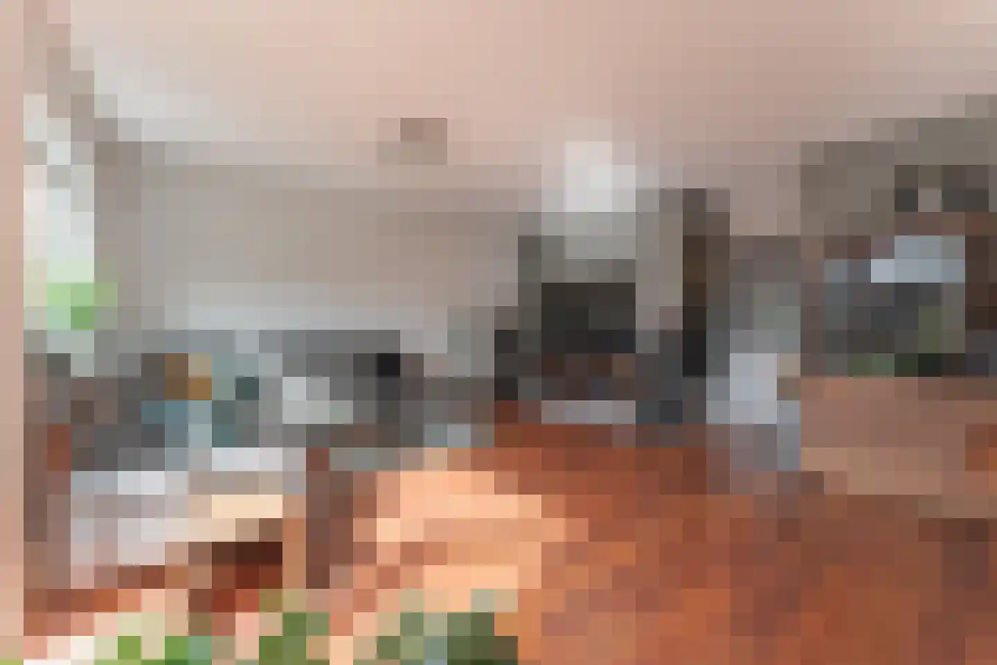 Tuinstraat 24 Zwaagdijk-Oost thumbnail 16