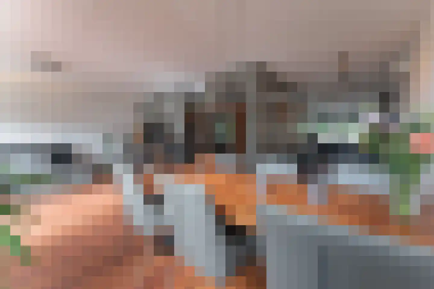 Tuinstraat 24 Zwaagdijk-Oost thumbnail 20