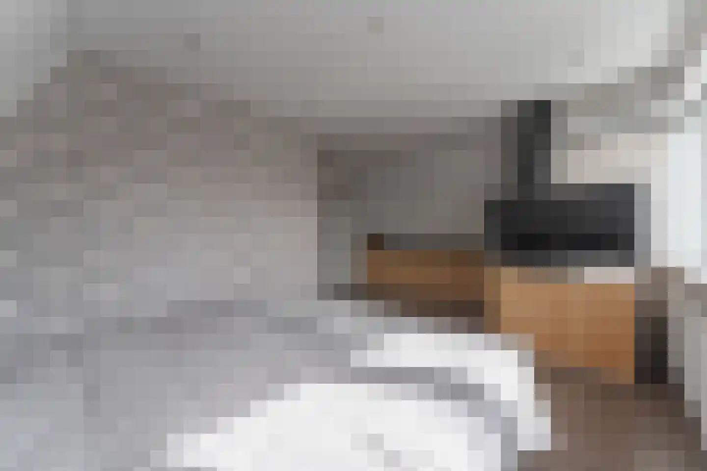 Tuinstraat 24 Zwaagdijk-Oost thumbnail 28