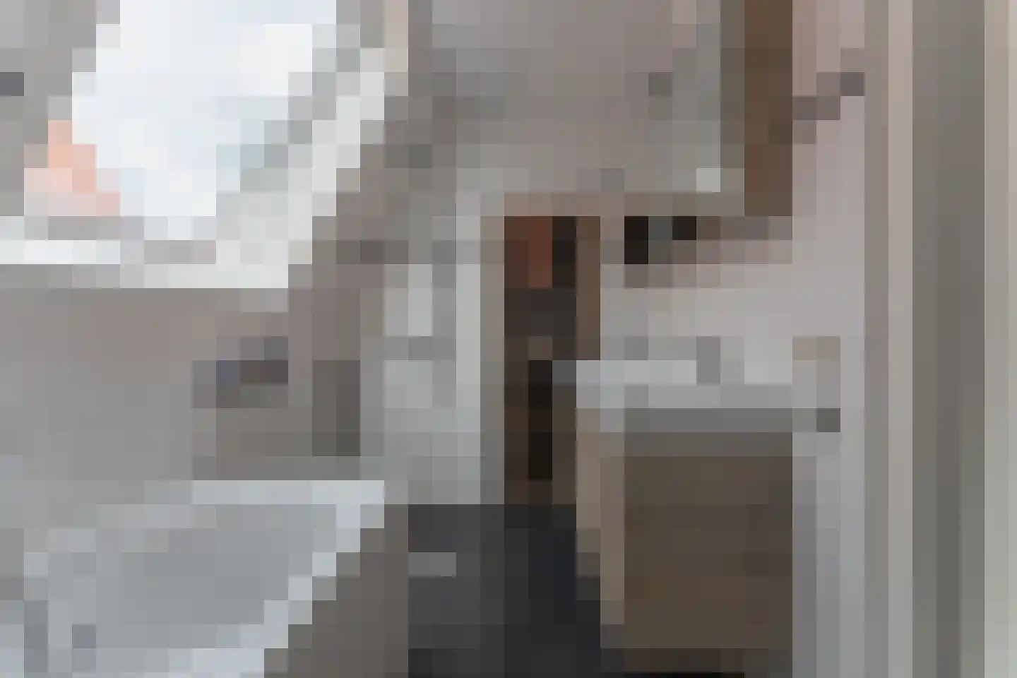 Tuinstraat 24 Zwaagdijk-Oost thumbnail 34