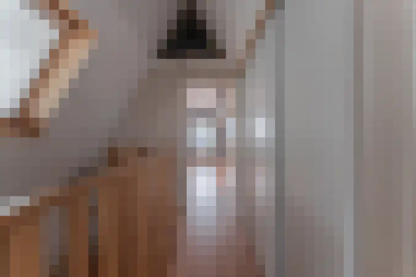 Tuinstraat 24 Zwaagdijk-Oost thumbnail 37