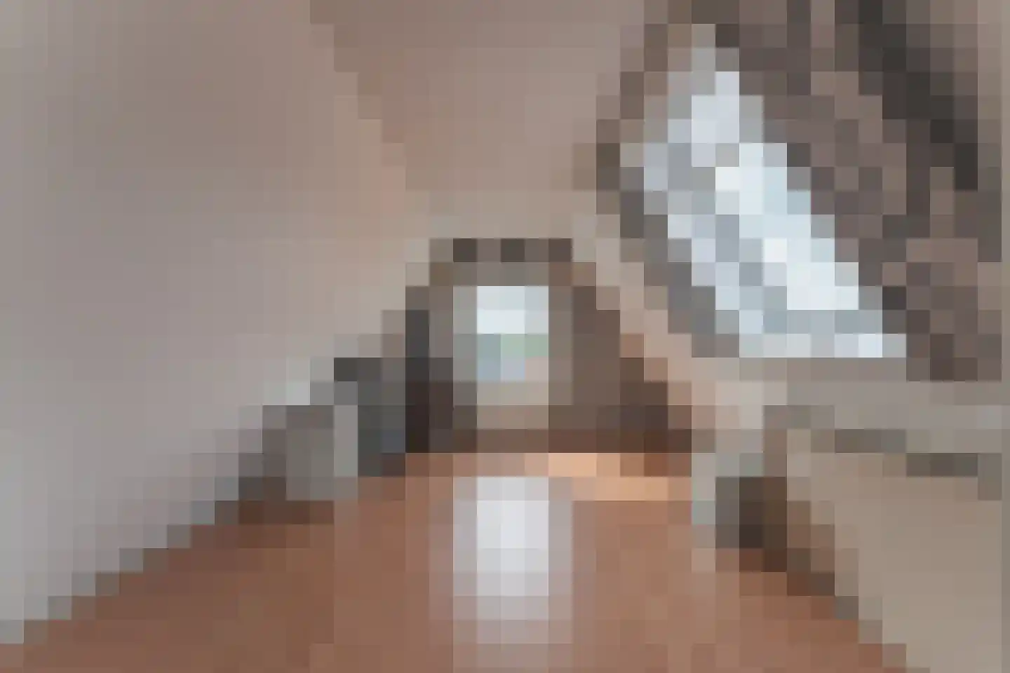 Tuinstraat 24 Zwaagdijk-Oost thumbnail 38