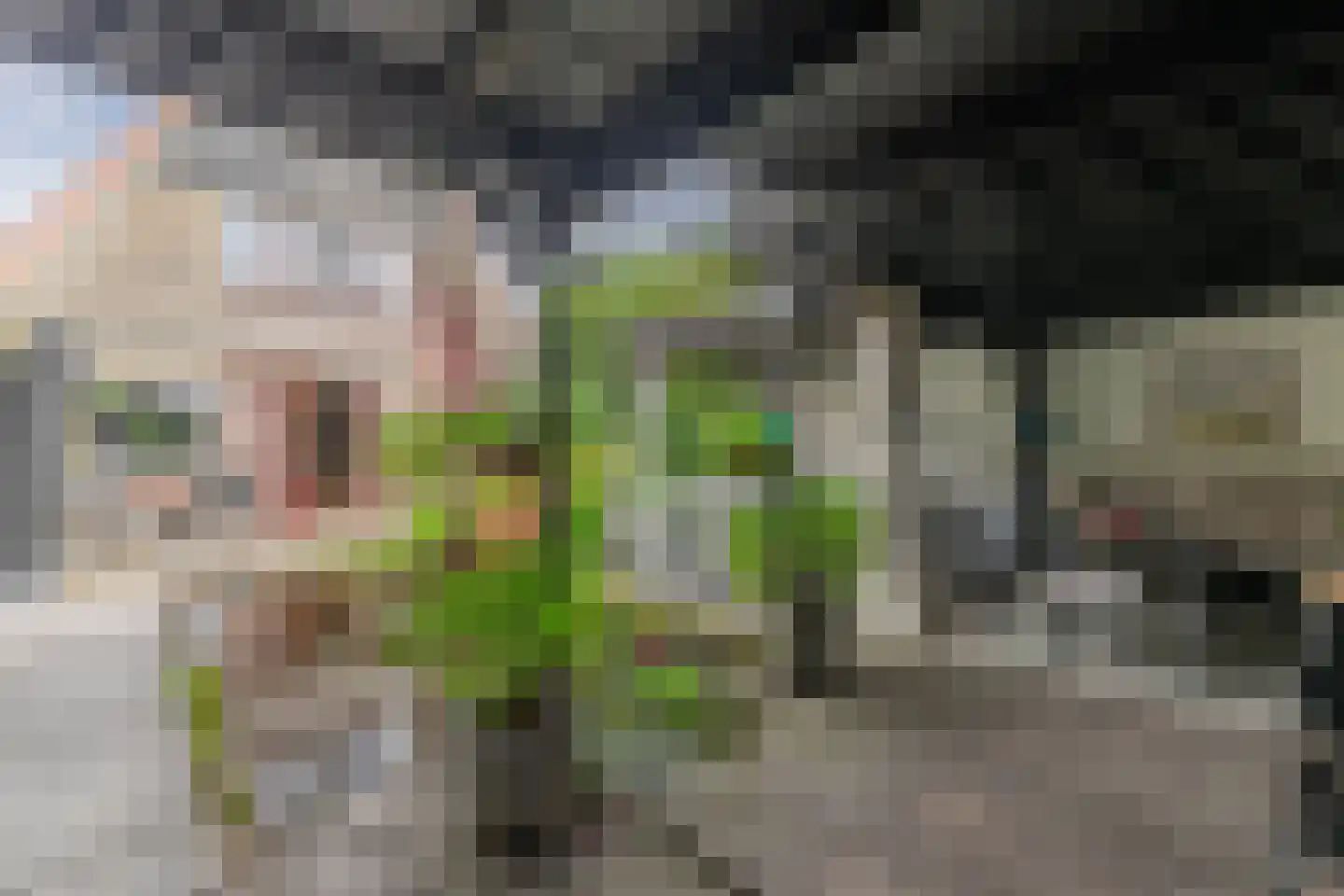 Tuinstraat 24 Zwaagdijk-Oost thumbnail 42