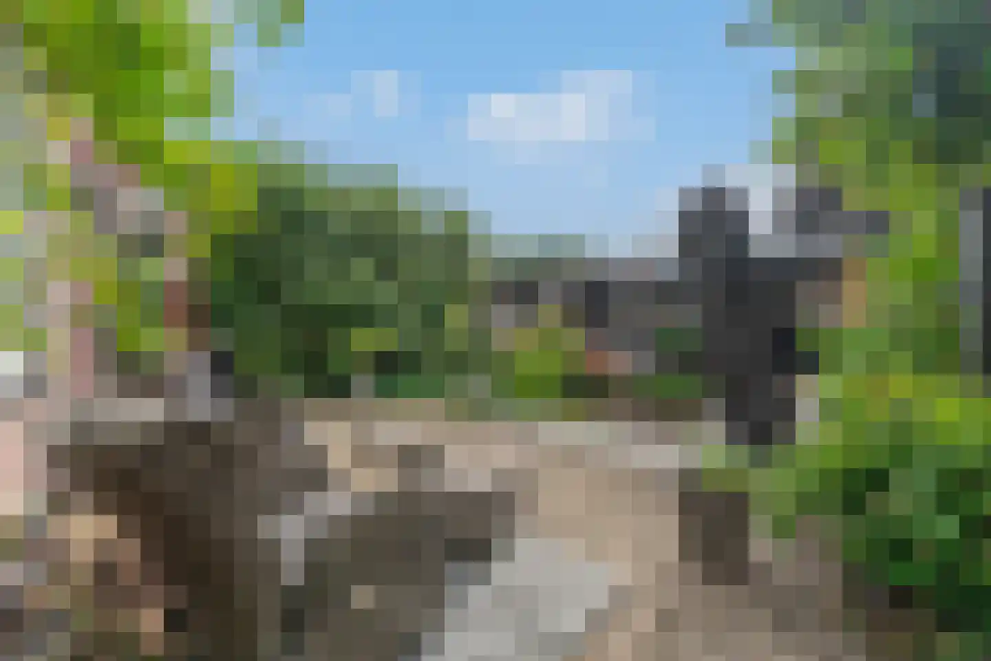 Tuinstraat 24 Zwaagdijk-Oost thumbnail 43