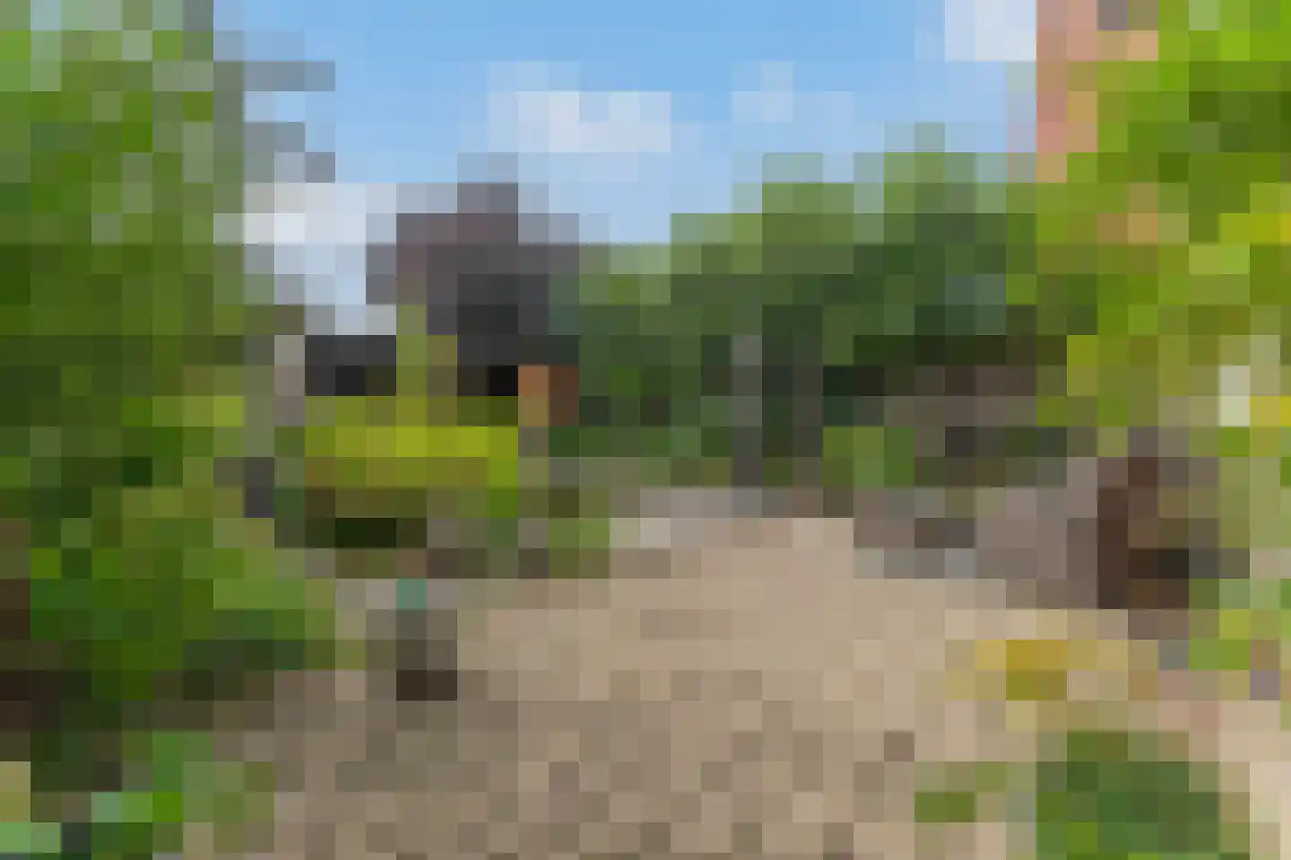 Tuinstraat 24 Zwaagdijk-Oost thumbnail 44