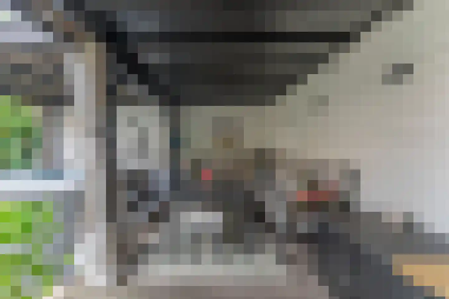 Tuinstraat 24 Zwaagdijk-Oost thumbnail 47