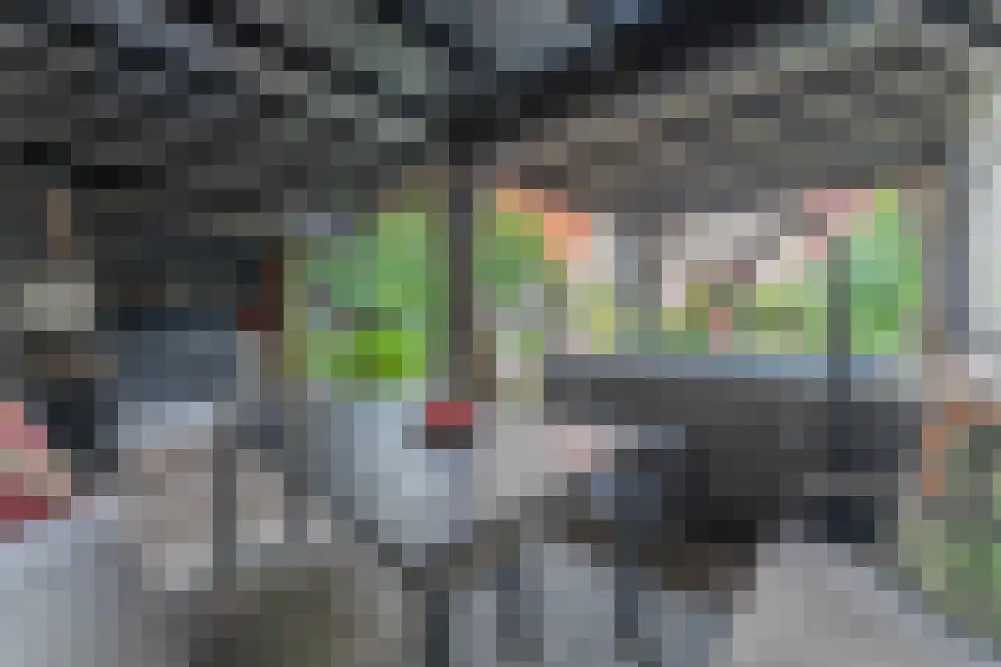 Tuinstraat 24 Zwaagdijk-Oost thumbnail 48