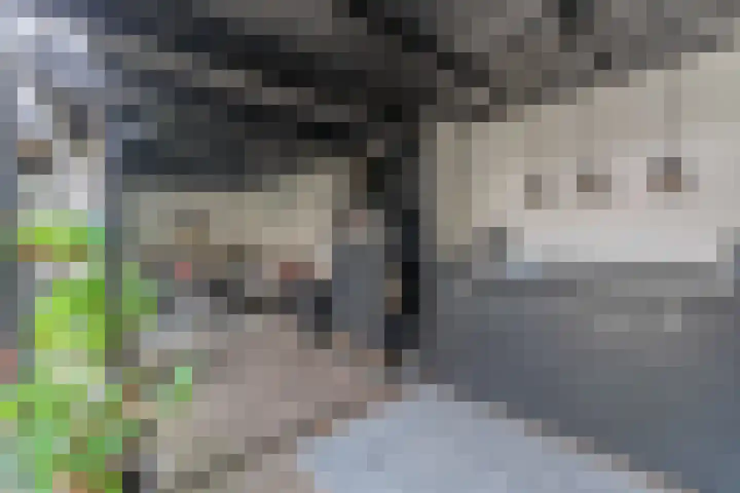 Tuinstraat 24 Zwaagdijk-Oost thumbnail 49