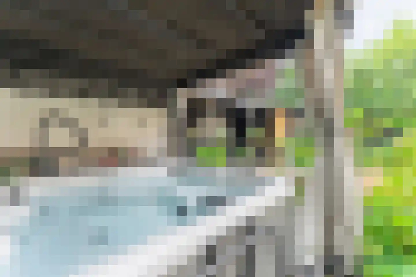 Tuinstraat 24 Zwaagdijk-Oost thumbnail 51