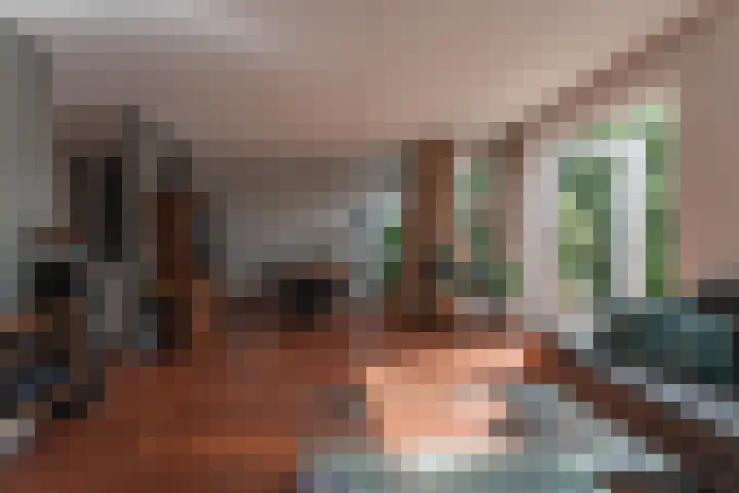 Tuinstraat 24 Zwaagdijk-Oost thumbnail 7