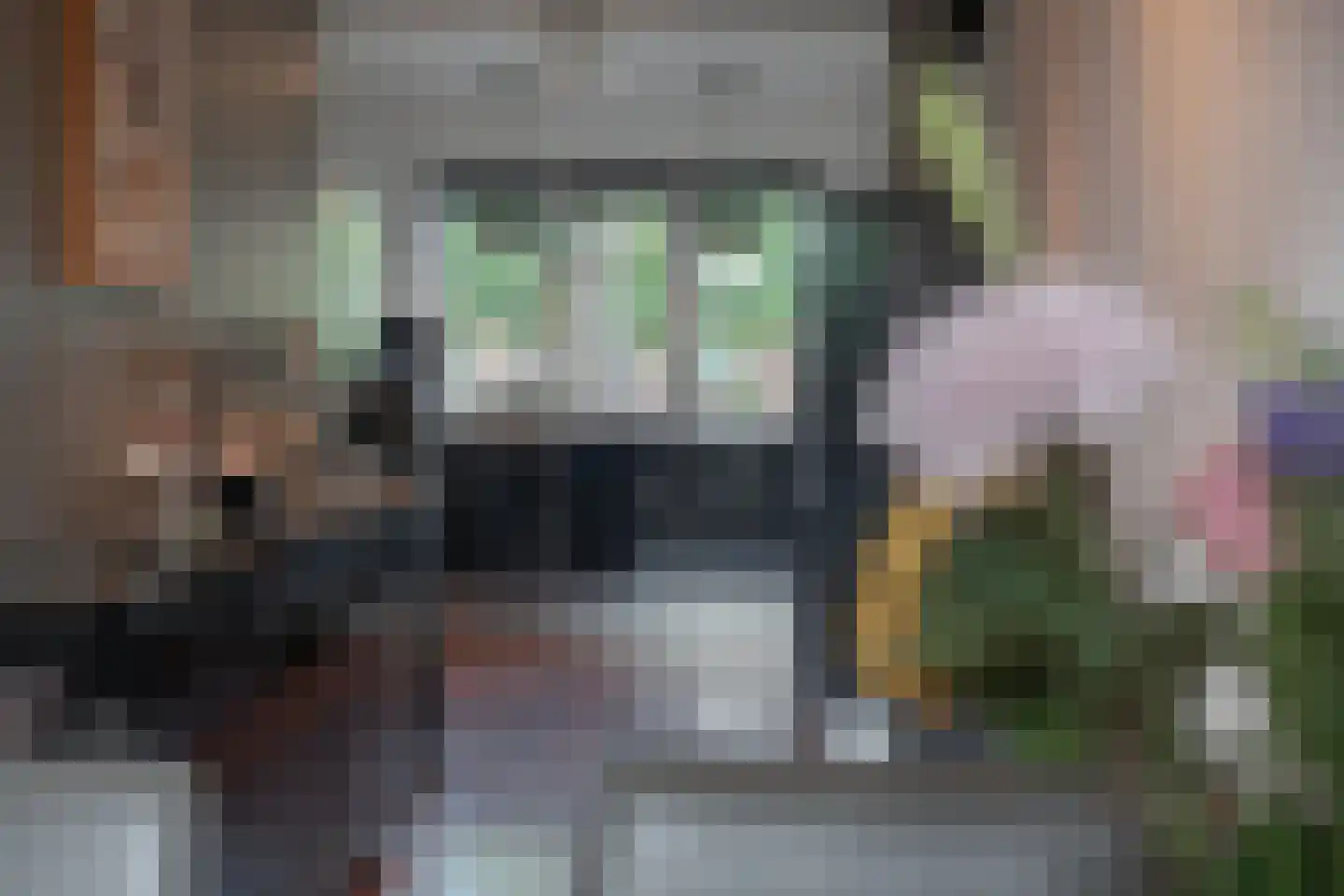 Tuinstraat 24 Zwaagdijk-Oost thumbnail 8