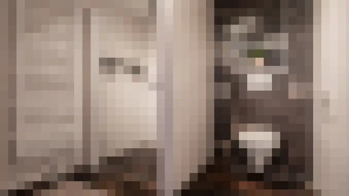 Tuinstraat 25 Almelo thumbnail 15