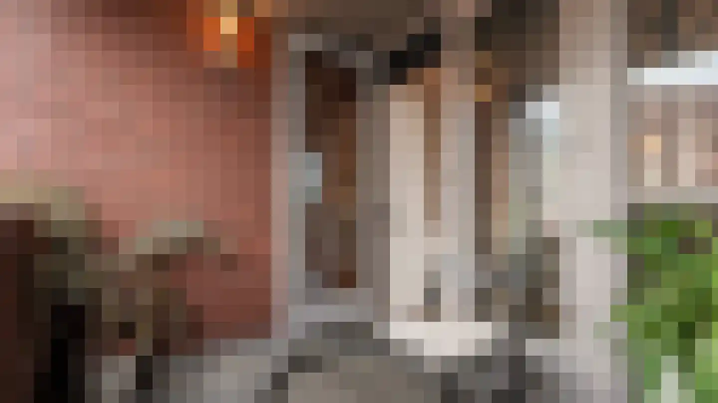 Tuinstraat 25 Almelo thumbnail 17