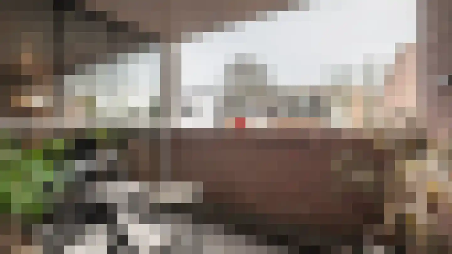 Tuinstraat 25 Almelo thumbnail 18