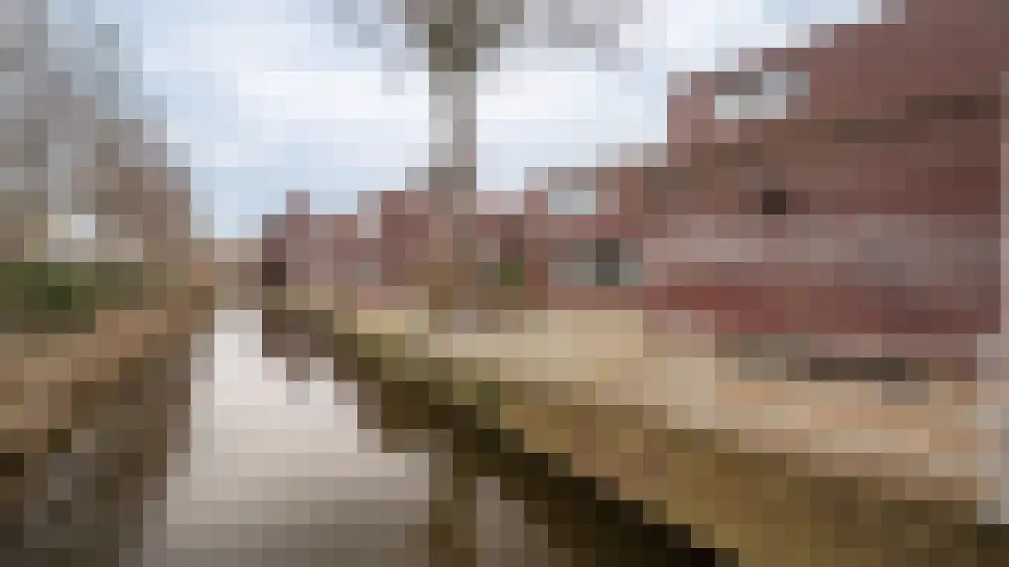 Tuinstraat 25 Almelo thumbnail 34