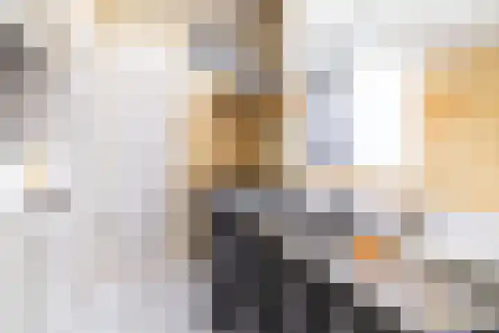Tuinstraat 25 Delft thumbnail 17
