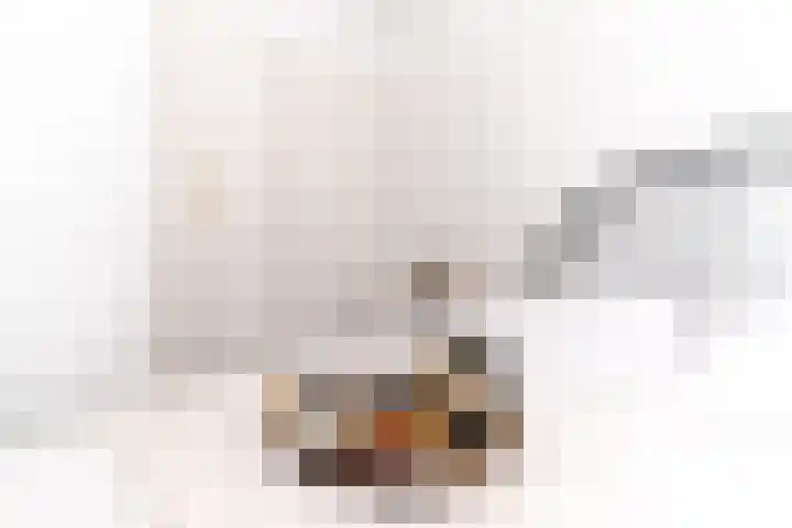 Tuinstraat 25 Delft thumbnail 32
