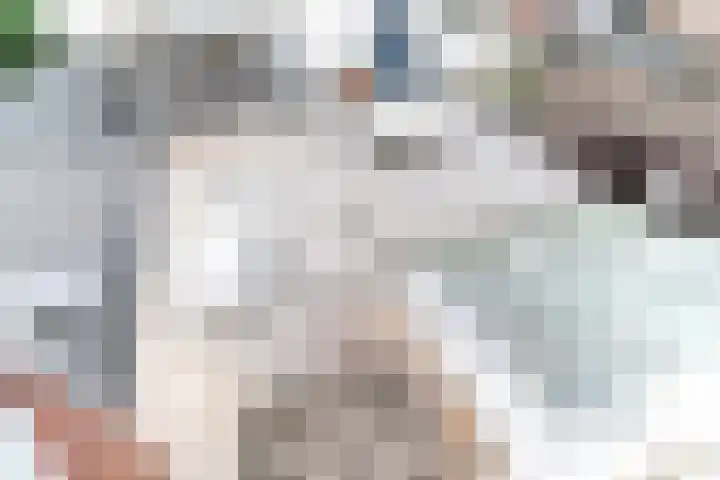 Tuinstraat 25 Delft thumbnail 33