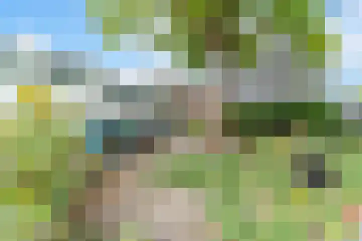 Tuinstraat 25 Delft thumbnail 41