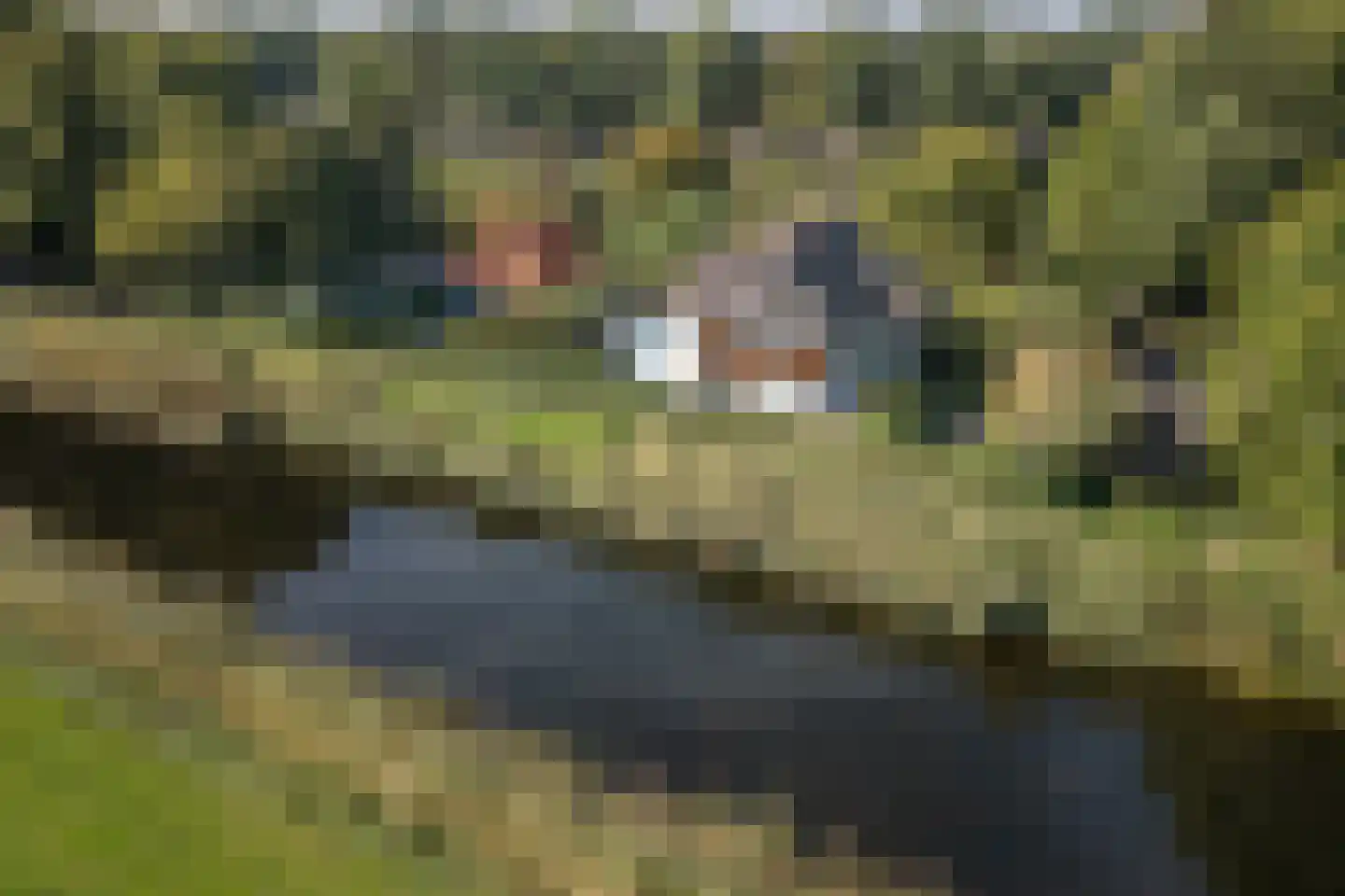 Tuinstraat 28 Beek en Donk foto 2