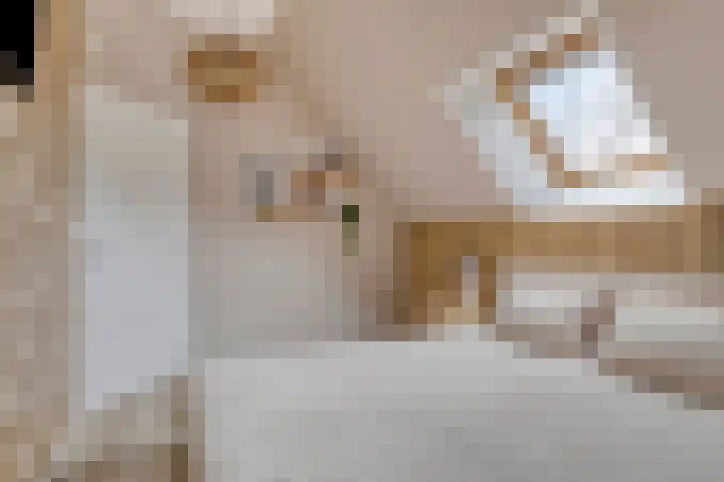 Tuinstraat 29 Gasselternijveen thumbnail 30