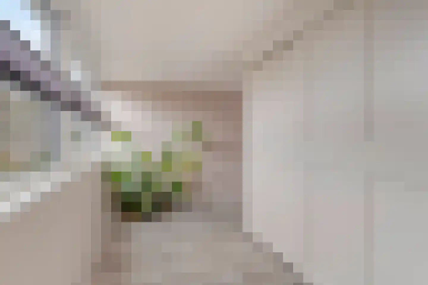 Tuinstraat 29 Gasselternijveen thumbnail 34