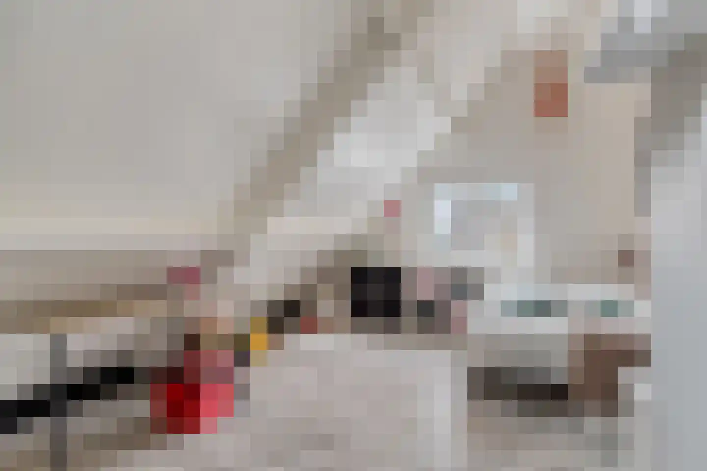 Tuinstraat 29 Gasselternijveen thumbnail 36