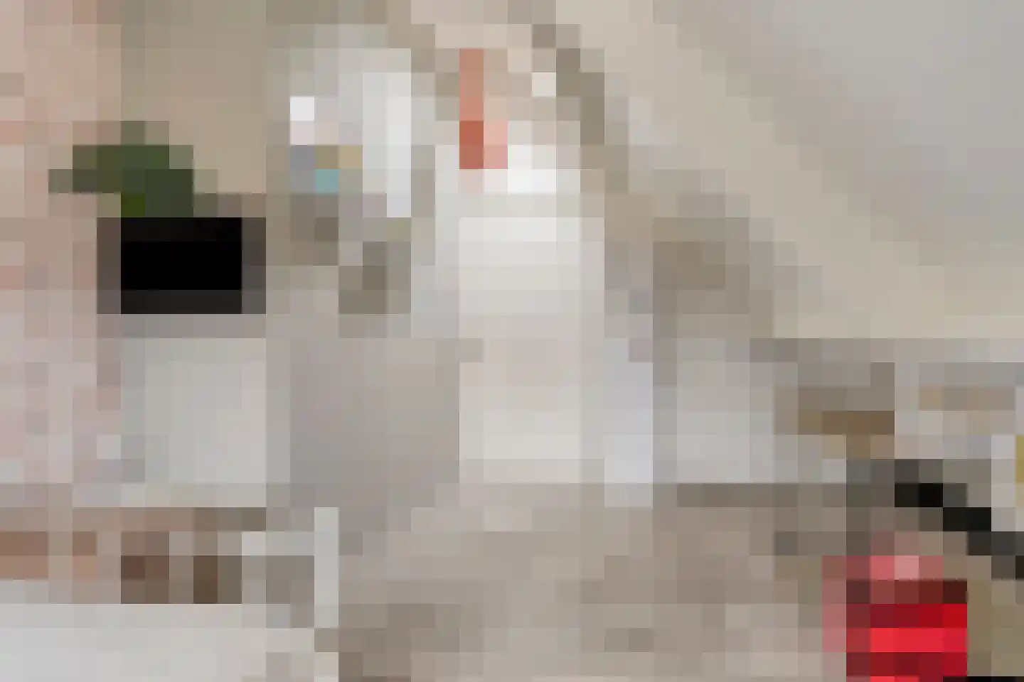 Tuinstraat 29 Gasselternijveen thumbnail 37