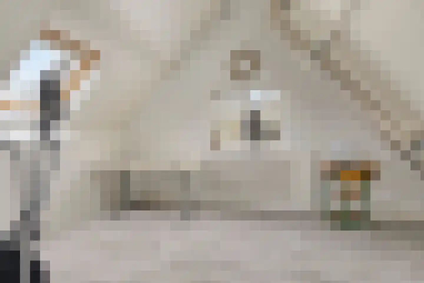 Tuinstraat 29 Gasselternijveen thumbnail 38