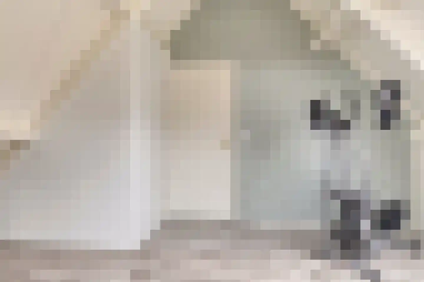 Tuinstraat 29 Gasselternijveen thumbnail 39