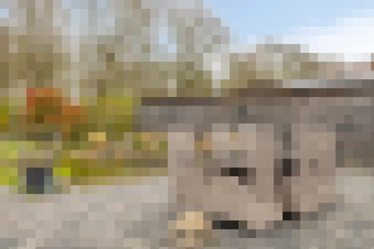 Tuinstraat 29 Gasselternijveen thumbnail 44
