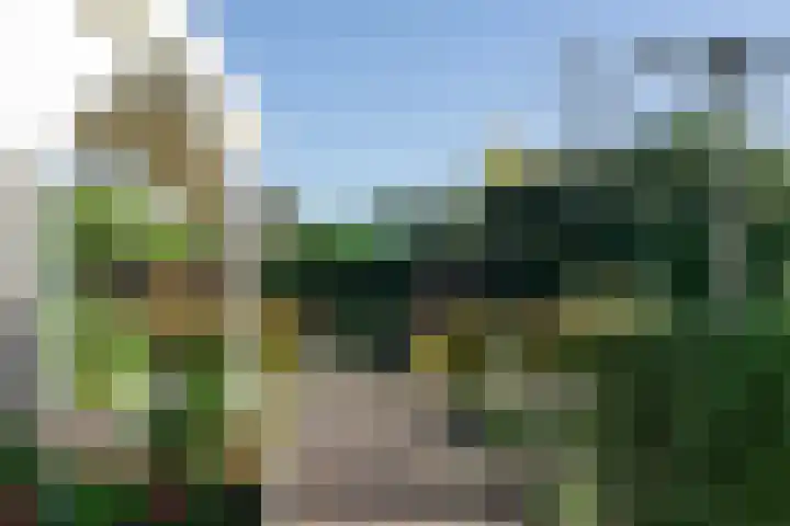 Tuinstraat 29 Woensdrecht thumbnail 32