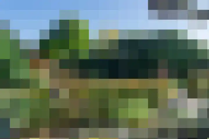 Tuinstraat 29 Woensdrecht thumbnail 35