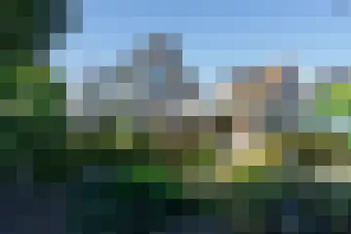 Tuinstraat 29 Woensdrecht thumbnail 37
