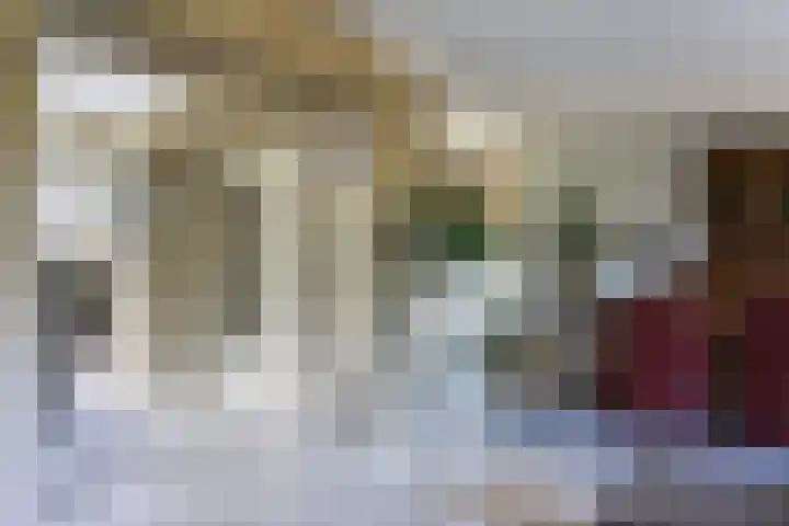 Tuinstraat 29 Woensdrecht thumbnail 8