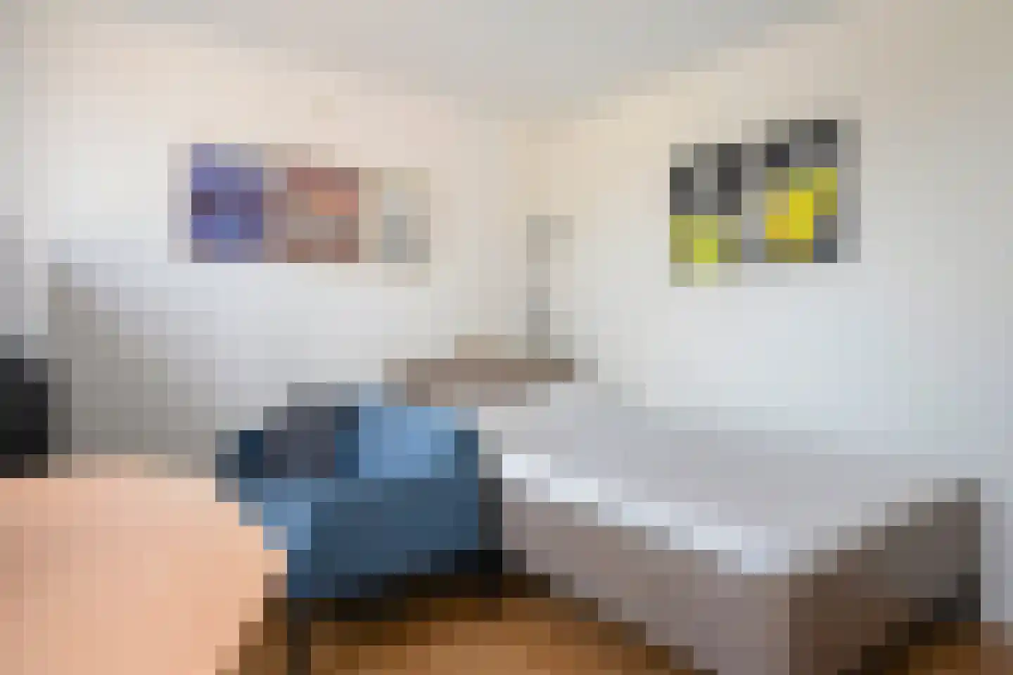 Tuinstraat 3 Born thumbnail 22